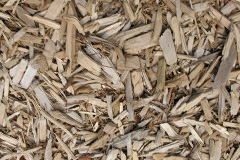 biomass boilers Rhosfach
