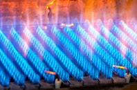 Rhosfach gas fired boilers